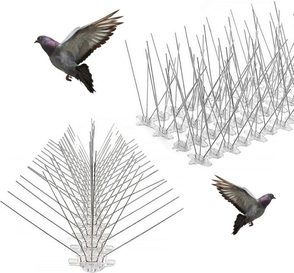 Bird Spikes Installation Service